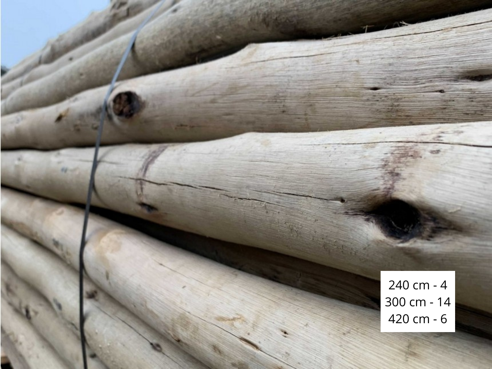 Wooden eucalyptus pole set for stretch tent 15 x 20 m