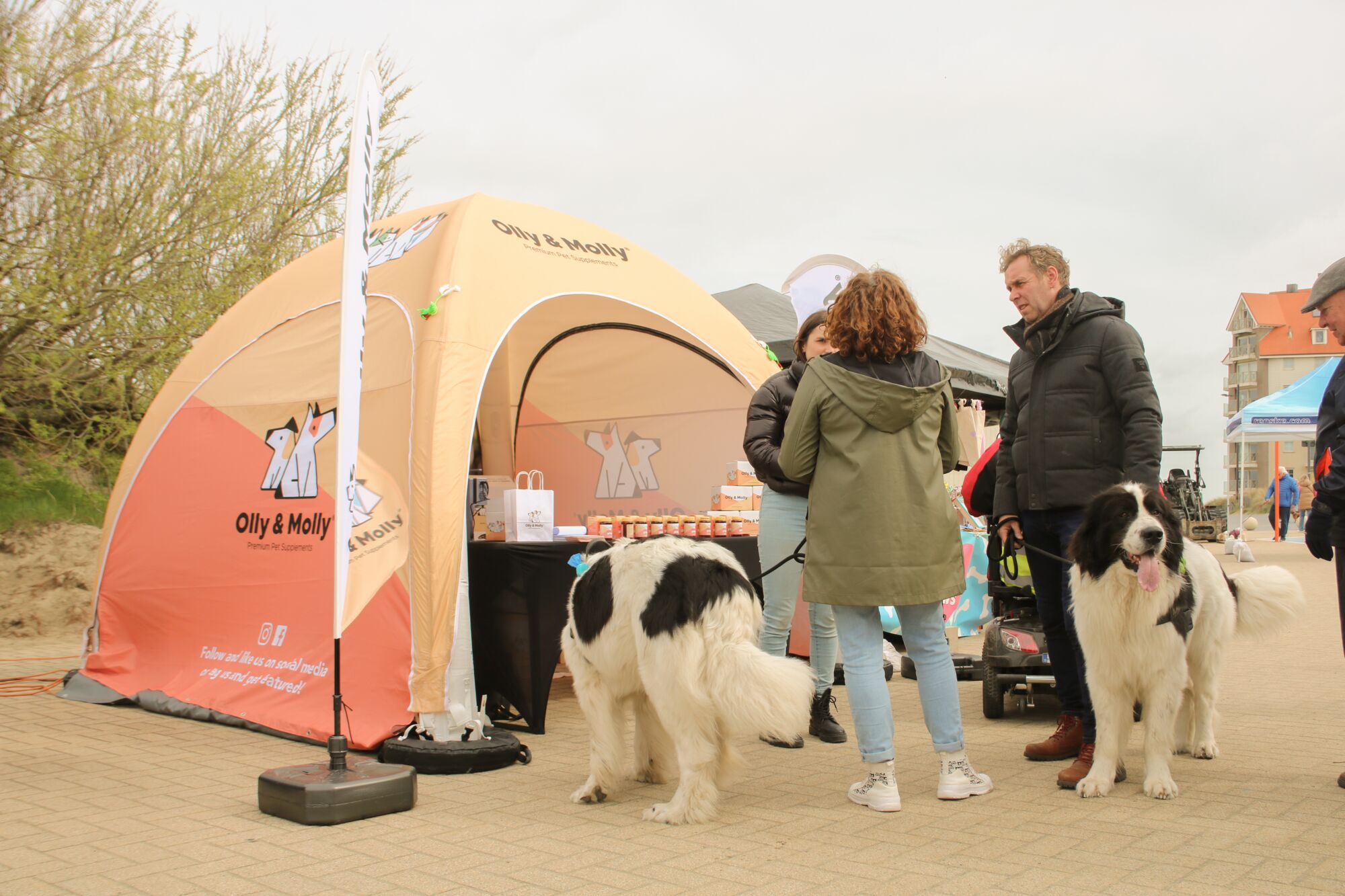 Opblaasbare tent Globe - 3x3m Zwart frame - Bedrukt dakzeil