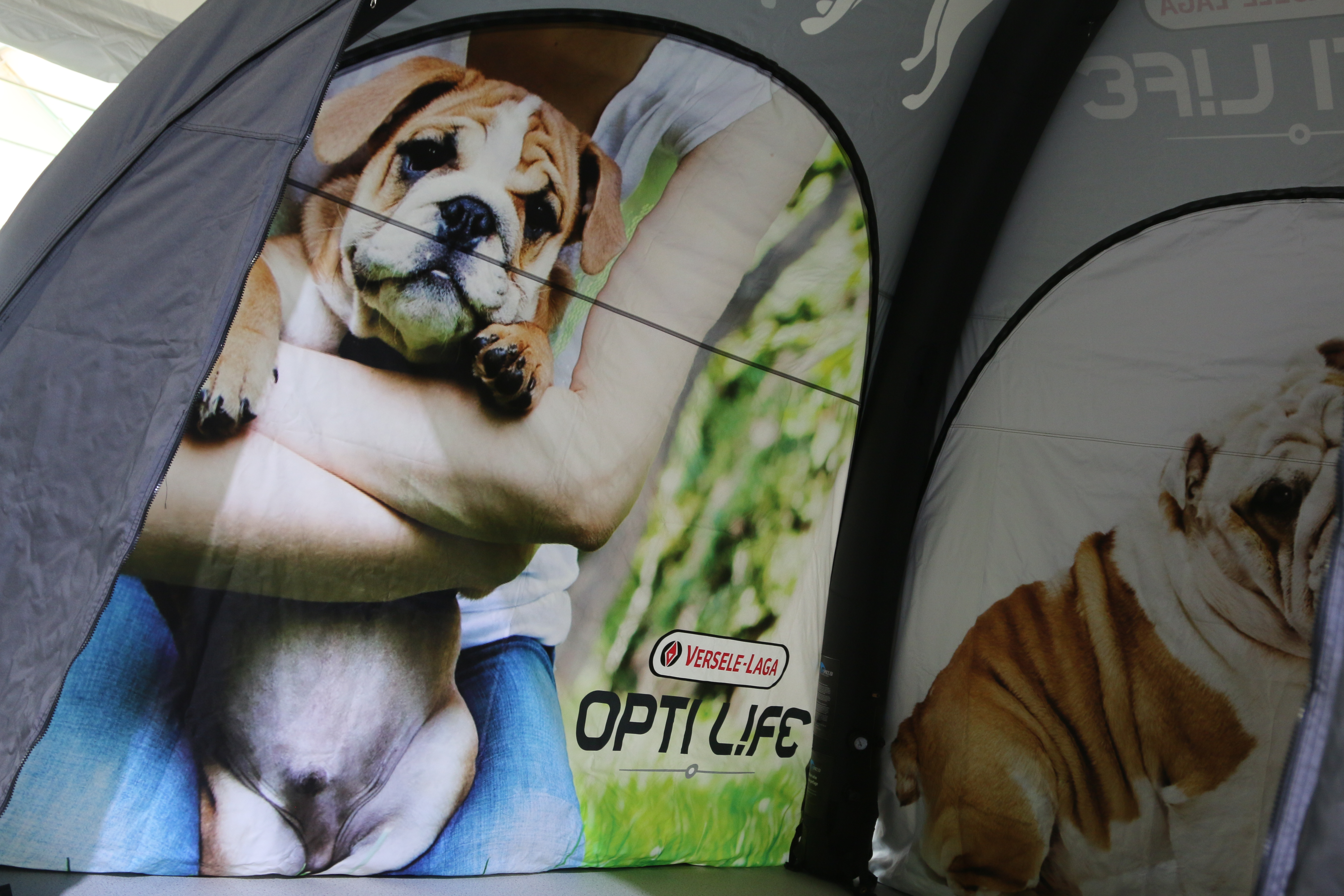 Carpa hinchable Globe - set completo - 4x4m estructura negro - techo impreso