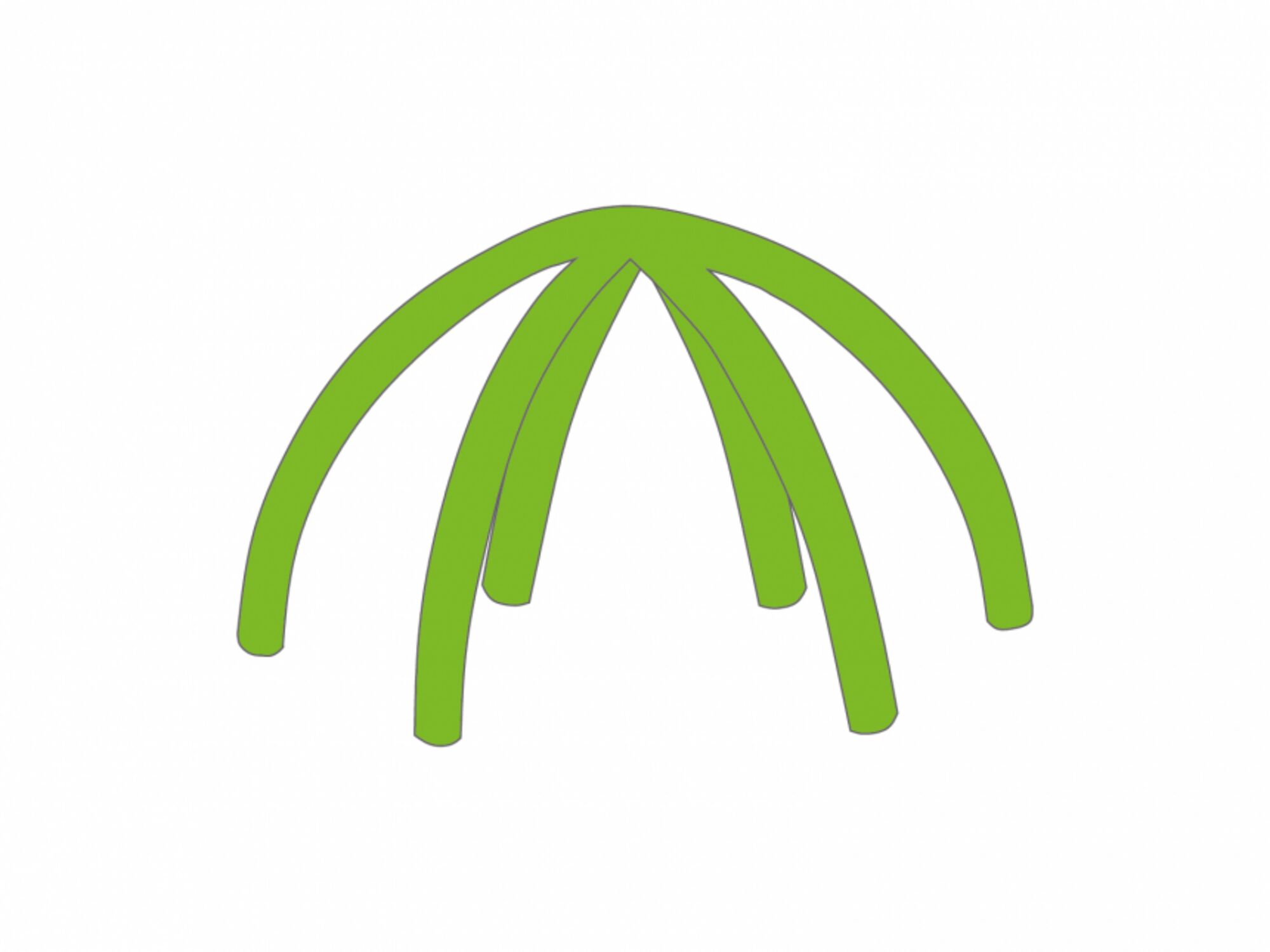 Inflatable tent Galaxy inflatable frame 10x10m Green (376C)