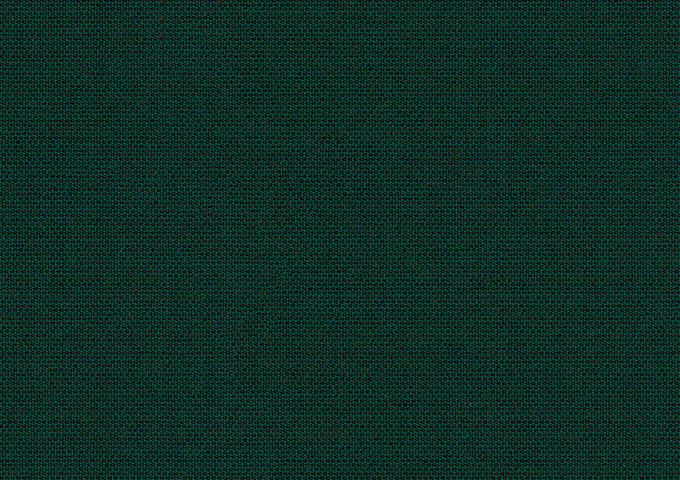 Verde bosque