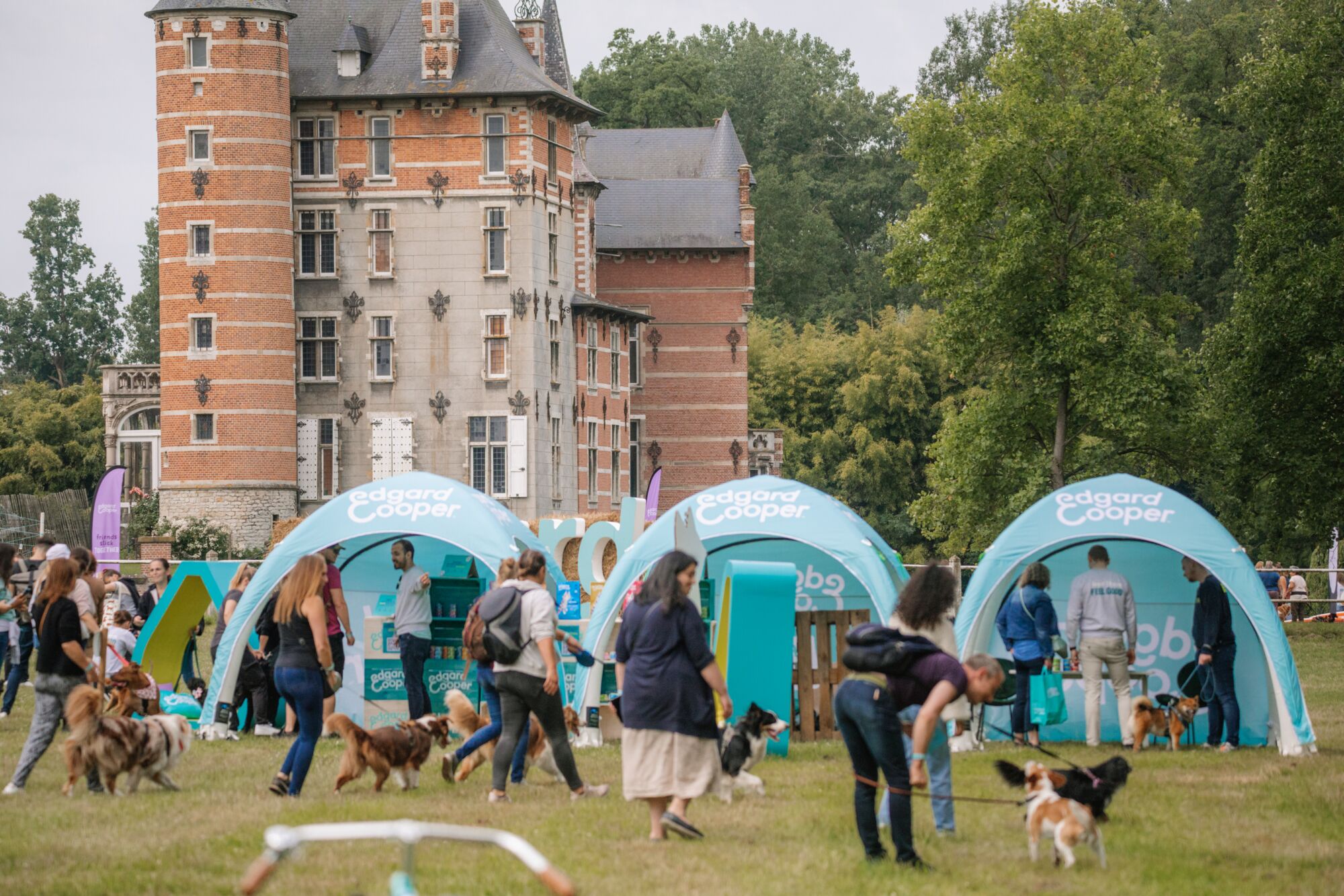 Opblaasbare tent Globe - 3x3m Zwart frame - Bedrukt dakzeil