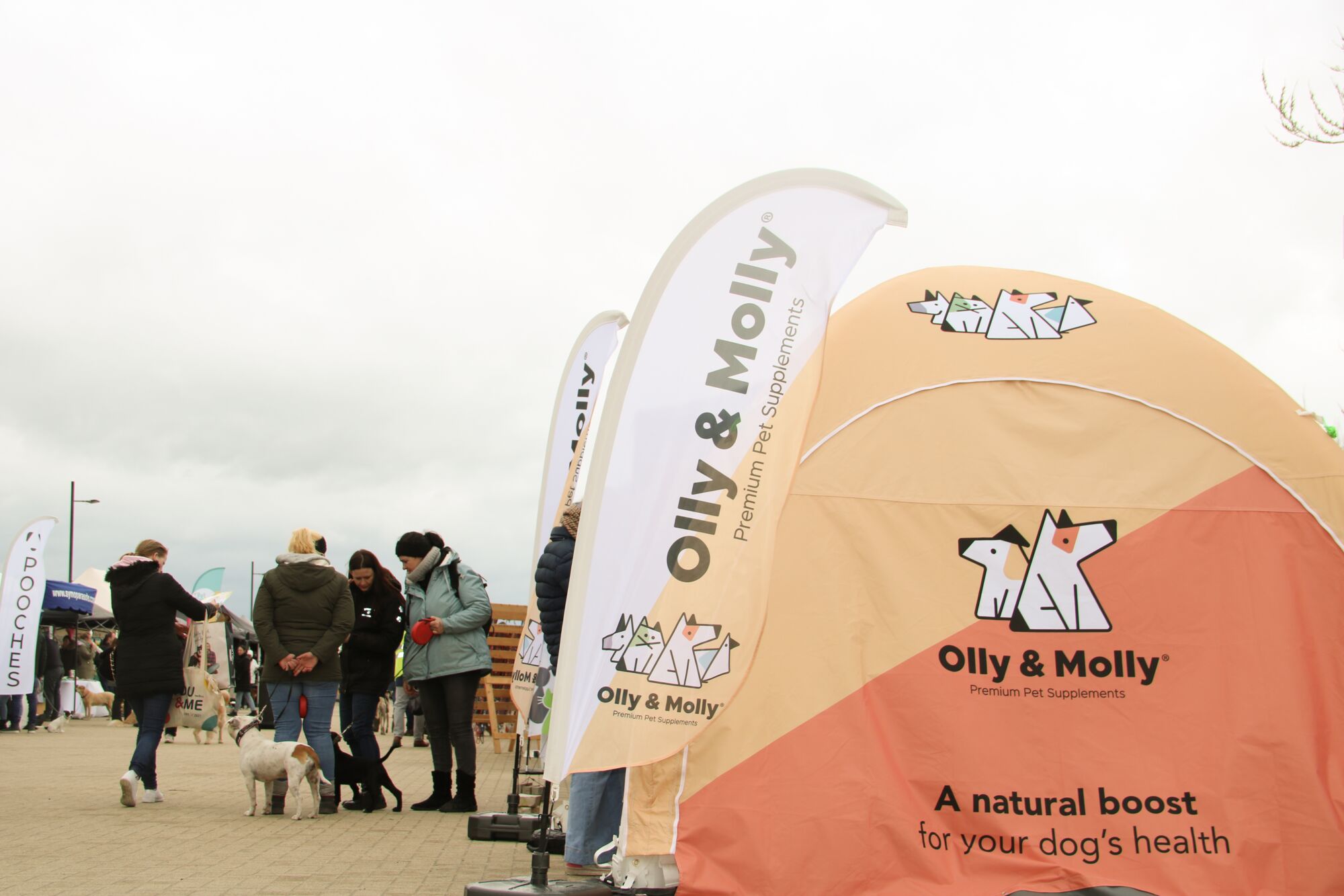 Opblaasbare tent Globe - 3x3m Zwart frame - Bedrukt dakzeil