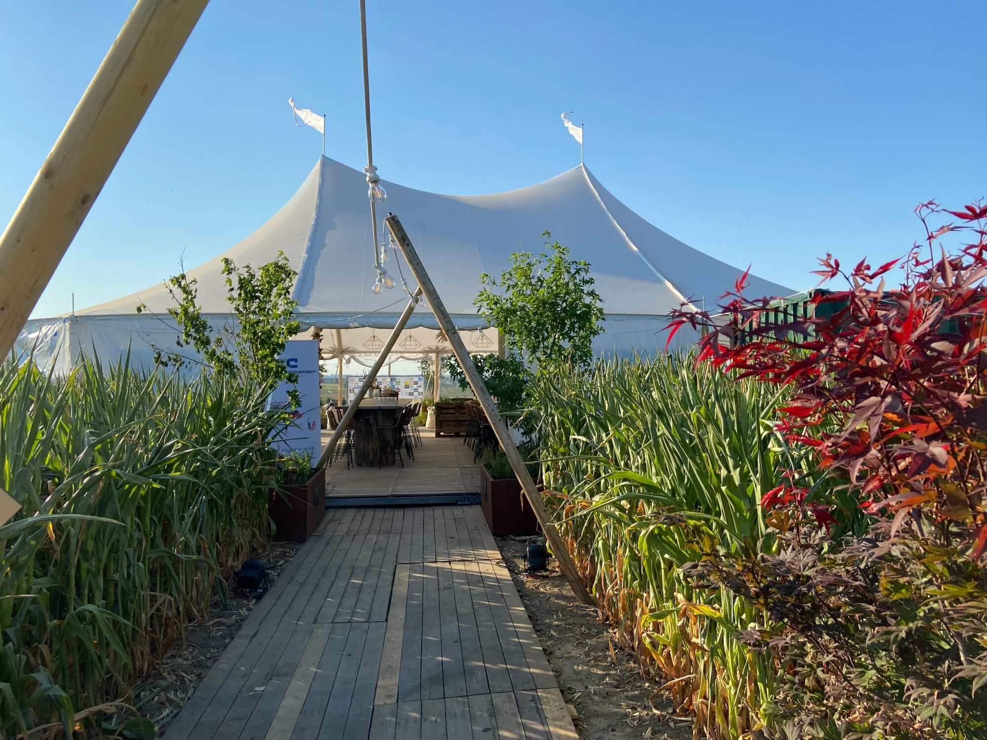 Sailcloth tent 14x32m - Doorloophoogte 2,44m wit